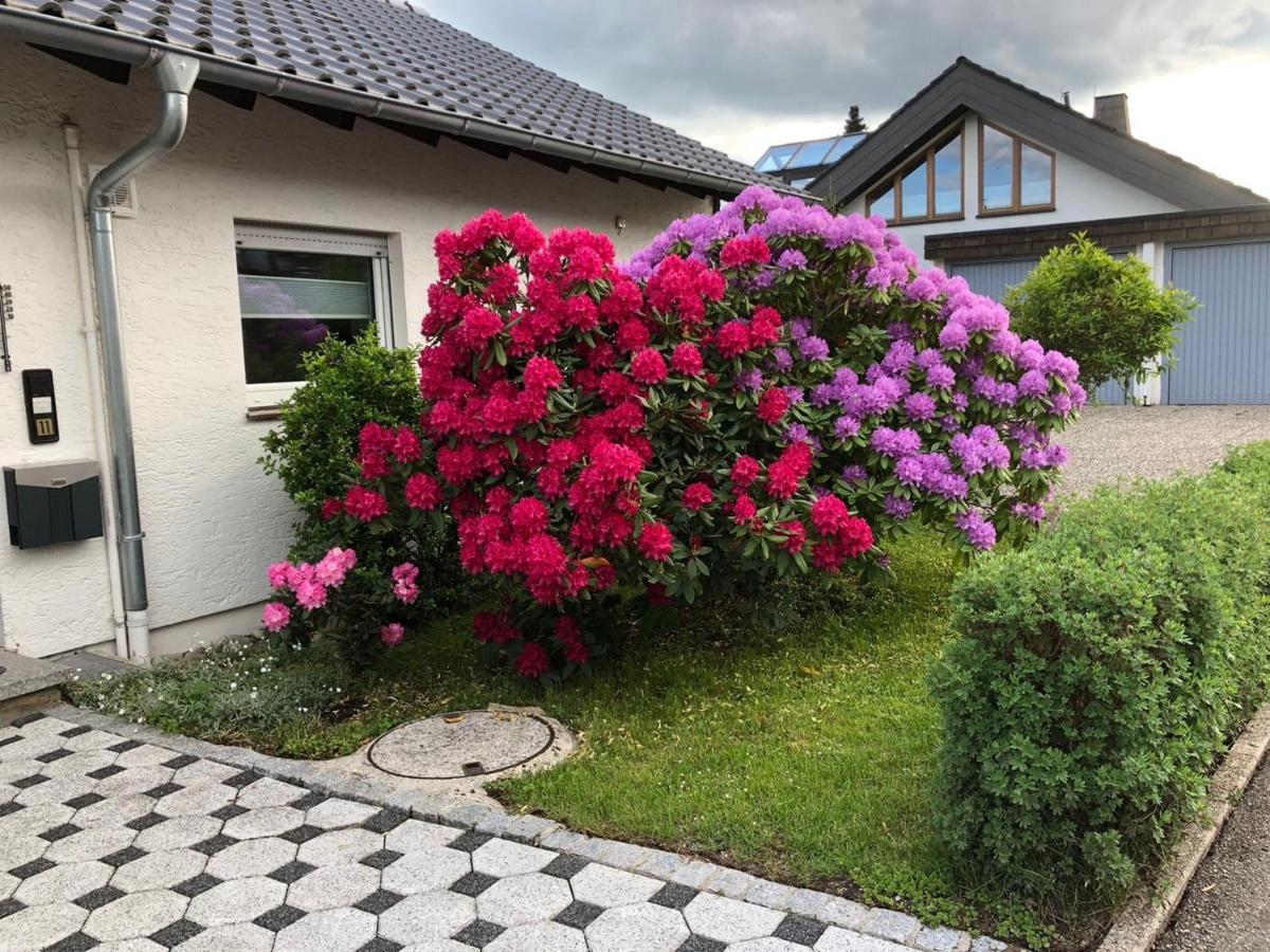Schwarzwaldhirsch Apartamento Unterkirnach Exterior foto